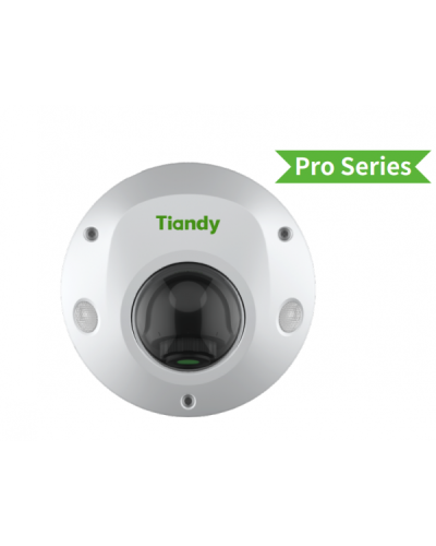 TC-C32PS I3/E/Y/M/H/2.8/V4.2. Видеокамера IP купольная. Tiandy в Мытищах