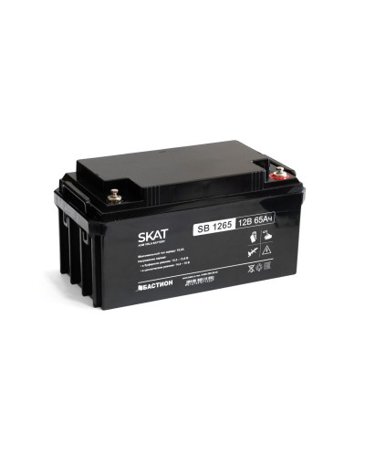 SKAT SB 1265 (2541). Аккумулятор герметичный свинцово-кислотный. Бастион в Мытищах